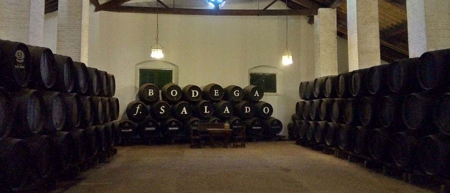 Excursión a las bodegas Salado