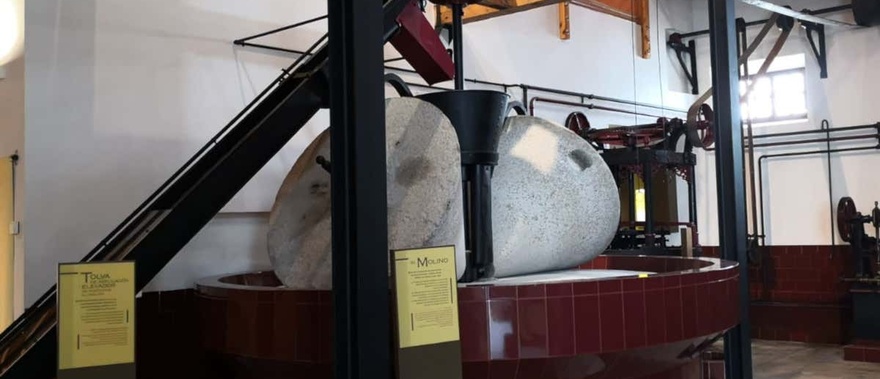 Visita al museo del Olivar
