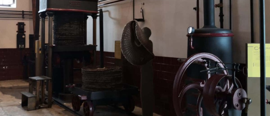 Visita al museo del Olivar Foto galería 2