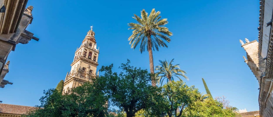Eingang zu den Sevilla-Pilzen Galeriefoto 2