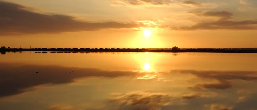 Paseo en barco por las marismas del Odiel al atardecer