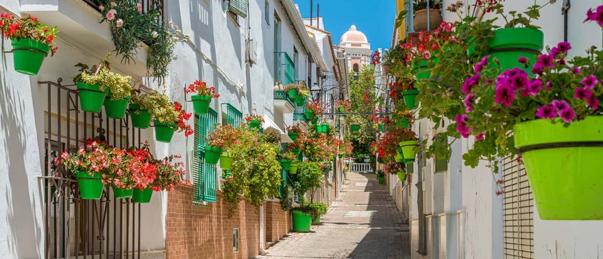 Visita guiada por Estepona