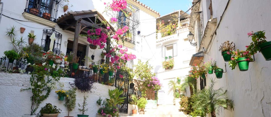 Visita guiada por Estepona Foto galería 4