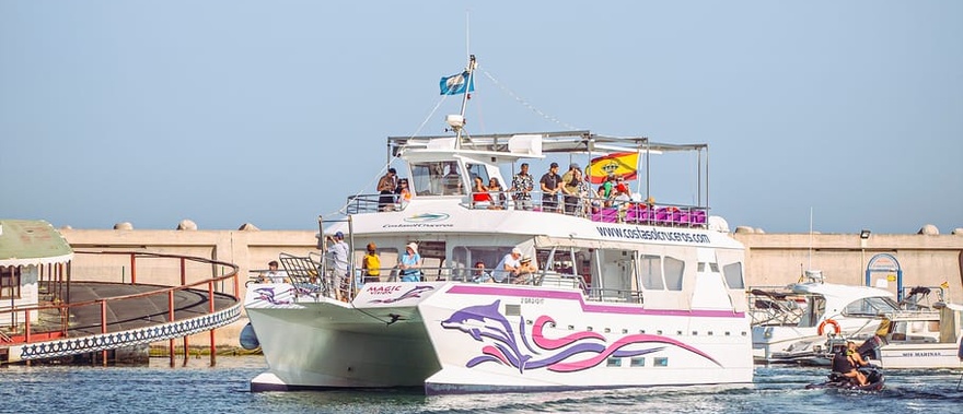 Avistamiento de delfines en Benalmádena Foto galería 1