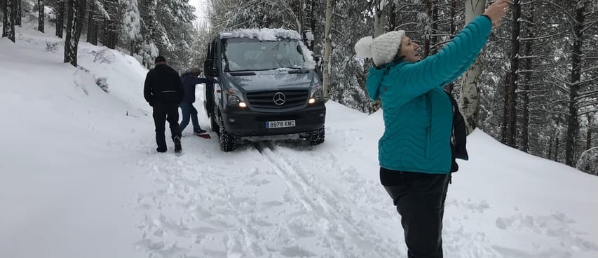 Excursión de safari en un vehículo 4x4 a Sierra Nevada