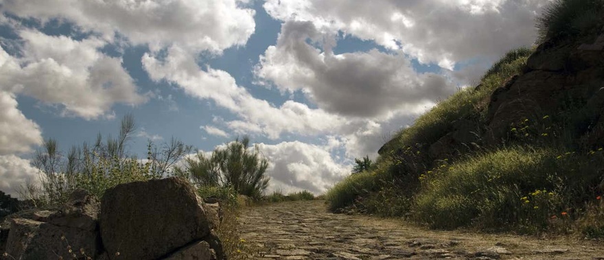 Tour por la Ruta Bética Romana Foto galería 1