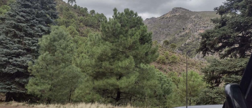 Tour en 4x4 por el Parque Nacional Sierra de las Nieves Foto galería 1
