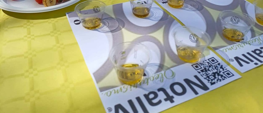 Cata de aceite de oliva en Villacarrillo Foto galería 2