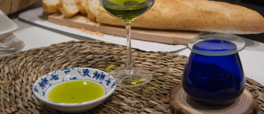 Cata de aceite de oliva en Villacarrillo Foto galería 4