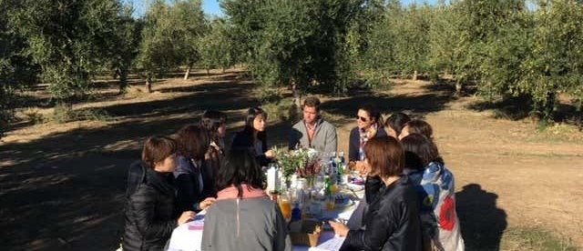 Visita a la almazara OMED