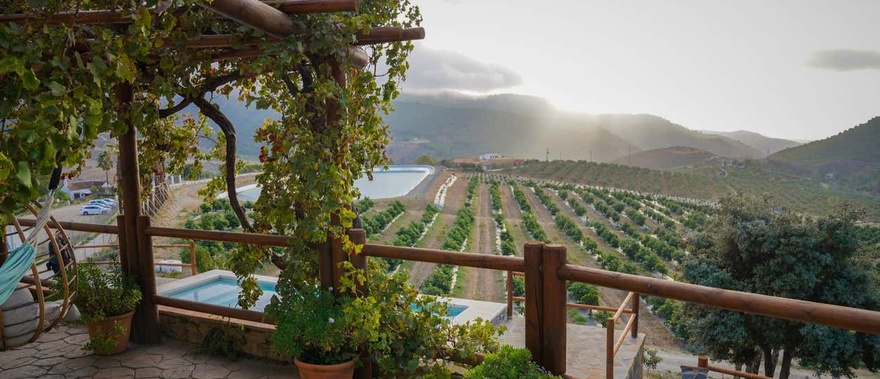 Besuch der Finca Solmark