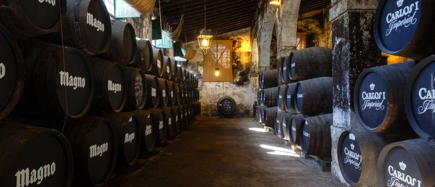 Visita a las Bodegas Osborne Foto galería 3