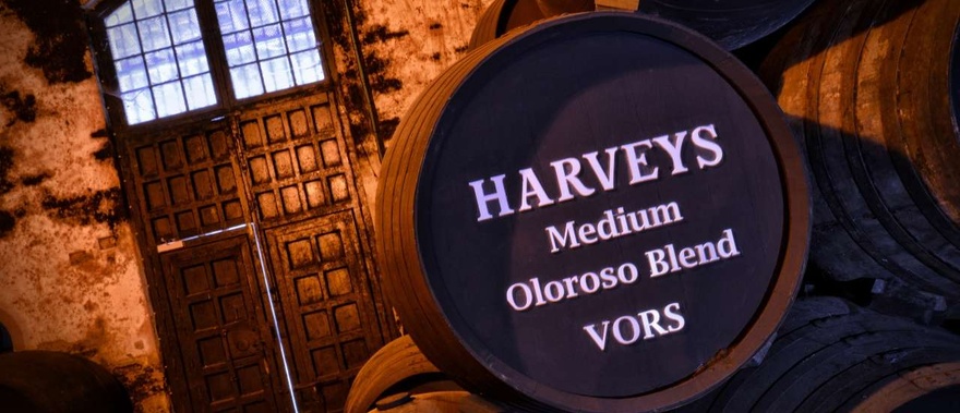 Tour guiado a las Bodegas Fundador con cata de vino Foto galería 1