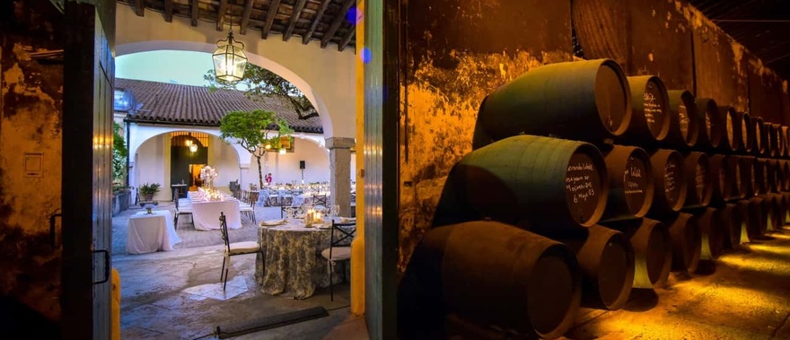 Tour guiado a las Bodegas Fundador con cata de vino Foto galería 2