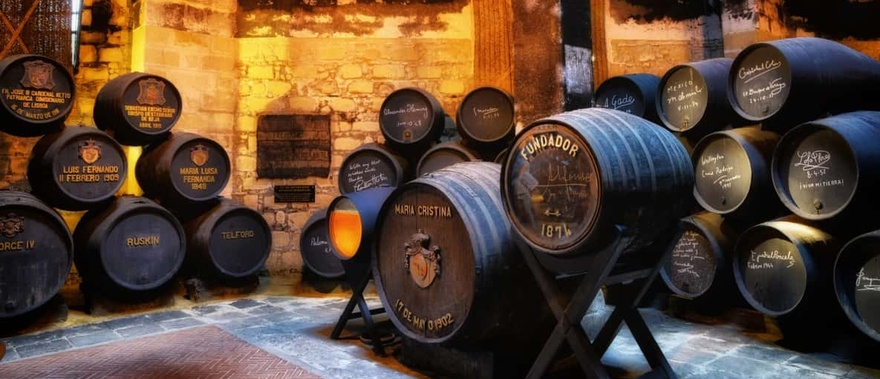 Tour guiado a las Bodegas Fundador con cata de vino