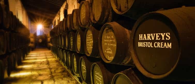 Tour guiado a las Bodegas Fundador con cata de vino Foto galería 3