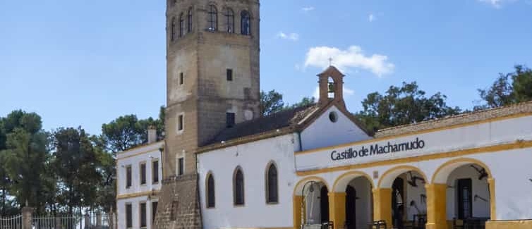 Tour guiado a las Bodegas Fundador con cata de vino Foto galería 4