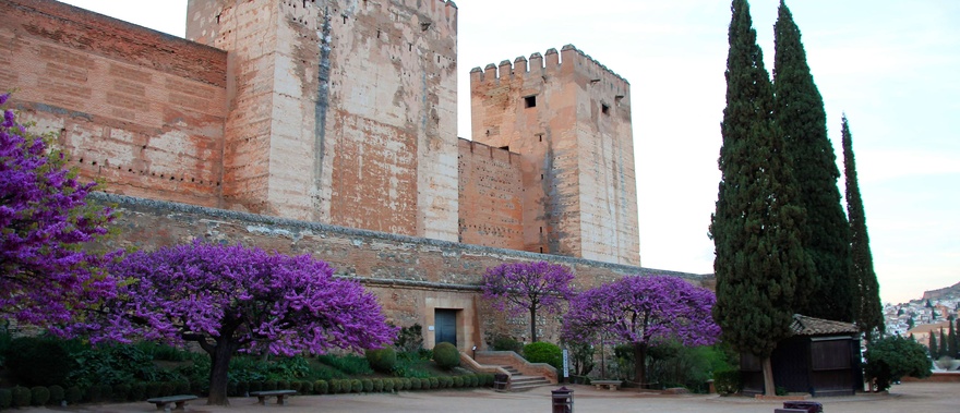 Visita guiada a la Alhambra y Palacio de Carlos V Foto galería 3