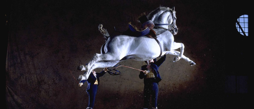 Cómo bailan los caballos andaluces en Jerez de la Frontera