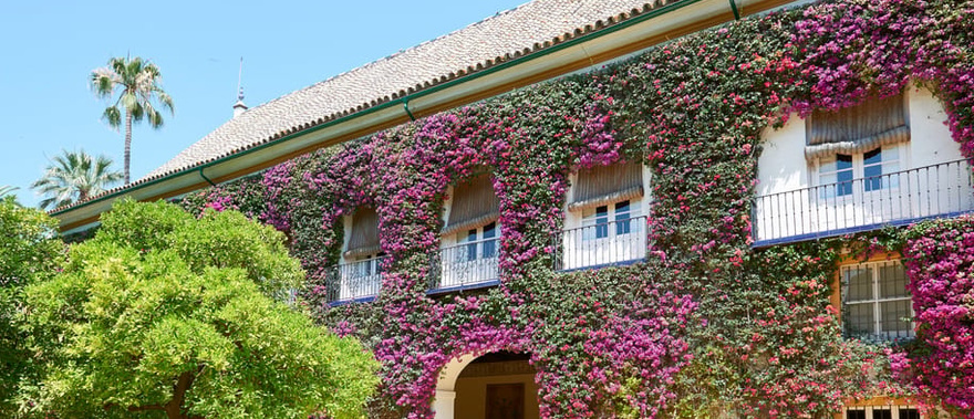 Entrada al Palacio de las Dueñas
