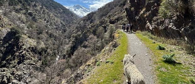 Senderismo por Alta Sierra Nevada a 3000 Metros