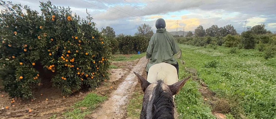 Tour guiado a caballo por el Valle del Guadalhorce Foto galería 3