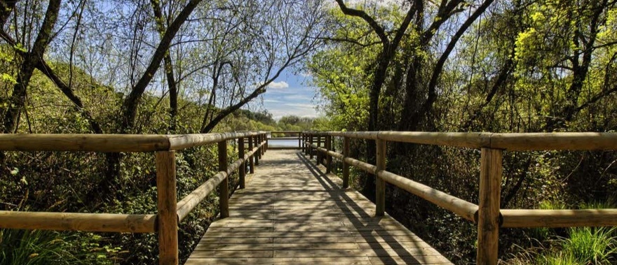 Tour en 4x4 por el Parque Nacional de Doñana Foto galería 4