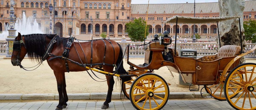Paseo en calesa por Sevilla Foto galería 3