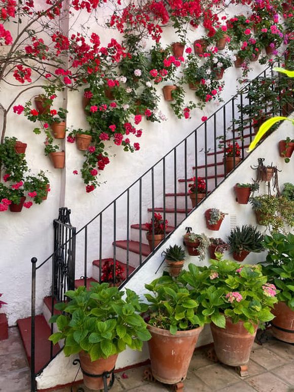 Visita guiada por los Patios de Córdoba Foto galería 1