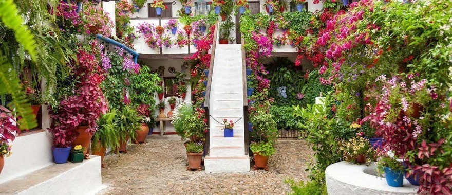 Visita guiada por los Patios de Córdoba Foto galería 3