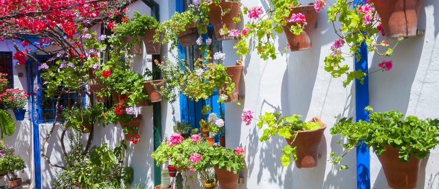 Visita guiada por los Patios de Córdoba Foto galería 4