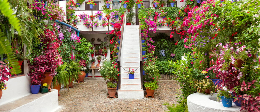 Visita guiada por los Patios de Córdoba