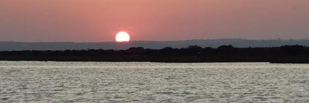 Paseo en barco por las marismas del Odiel al atardecer