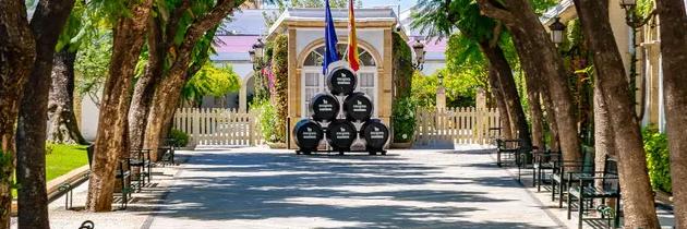 Visita a las Bodegas Osborne