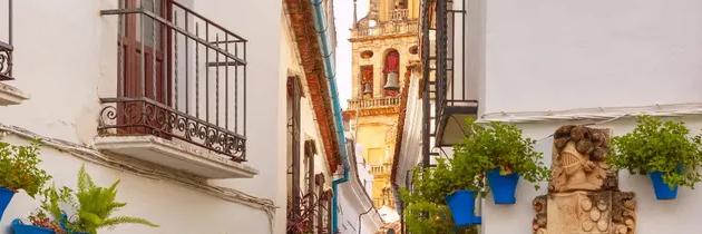 Visita guiada por la Mezquita y la Judería de Córdoba