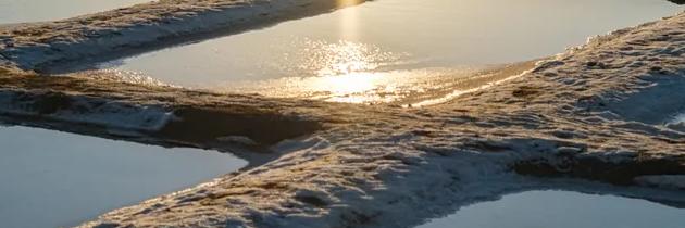 Visita guiada por las salinas del Alemán